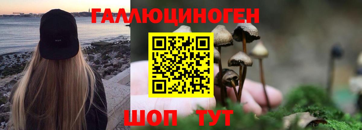 Белорецк  Псилоцибиновые грибы прущие грибы  Псилоцибиновые грибы ЛСД  Вход с VPN 